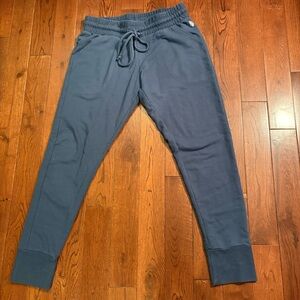 Free people movement Blue Jogger Sweatpants